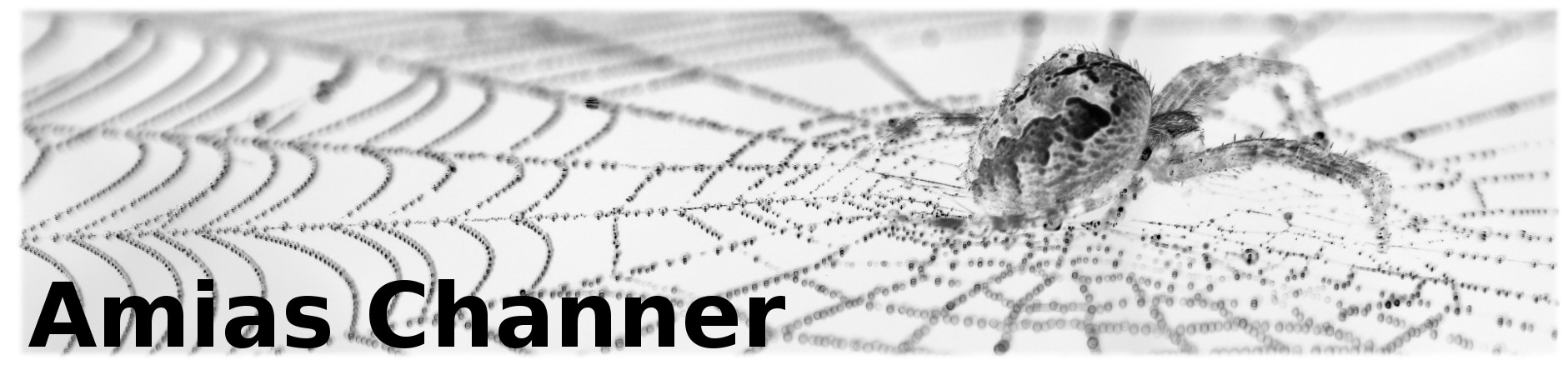 Amias Channer - Experienced Computer Scientist specialising in Test